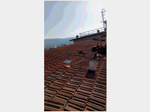 5370741 esperienzaannuale cerca lavoro