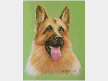 5372244 di animali a