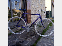 Bicicletta da corsa atala