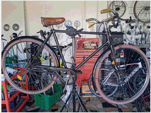 5372846 milani art bike