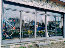 5372847 milani art bike