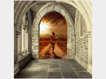 Sensitiva,medium stella. di ares