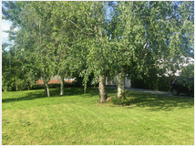 5374443 villa mq160 Ristrutturato