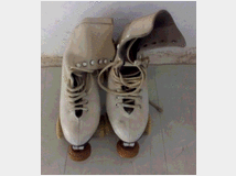 5375584 a rotelle professionali