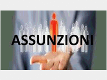 5375634 esperienzabiennale cerca lavoro