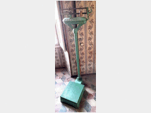 5375718 pesa bilancia pesapersone