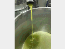 5375909 extravergine d'oliva 