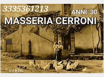 5375912 Galline livornesi in