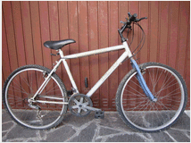 5376090 bianchi mountain bike