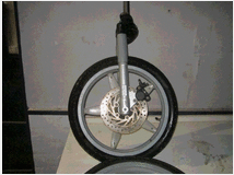 5376130 +forcine complete x