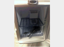 5376255 x camper -ruoolot-tv