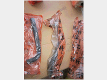 5376292 Carrozzeria ALFA ROMEO