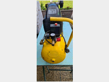 5376306 d'aria mccullock