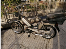 5376479 GARELLI Vip Garelli