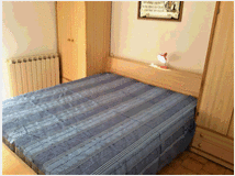 5377042 in affitto appartamento