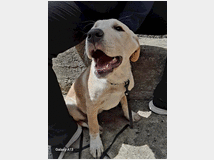 5377854 in regalo MIA