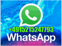 5378380 esperienzaannuale cerca lavoro