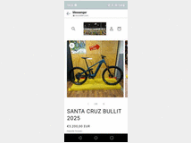 5378389 cruz bullit 2025