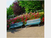 In affitto monolocale ideale pervisitare una nuova città mq40