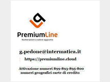 5380957 telefonici 899 e