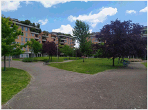 5381466 in affitto monolocale