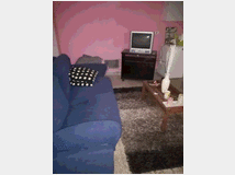 5384151 in affitto open