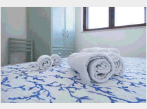 5384452 in affitto appartamento