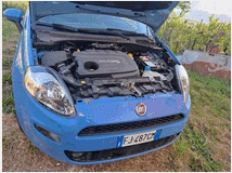 5384985 FIAT Punto 4Âª