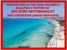 5386643 in affitto appartamento