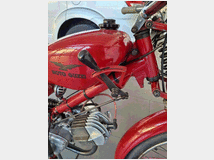 5386953 MOTO GUZZI Sport