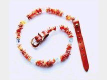 5387493 antiparassitario in ambra