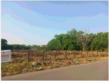 5387501 terreno edificabile mq6000