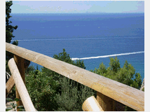 5388692 in affitto villa