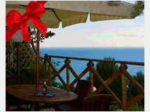 5388694 in affitto villa