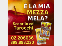 5389460 telefonica – risposte