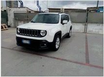 5390733 JEEP Renegade Jeep