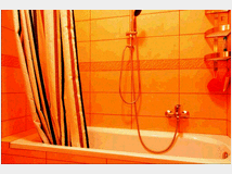 5390947 in affitto appartamento