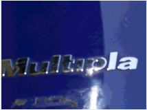 Carrozzeria fiat multipla
