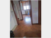 5391836 in affitto casa