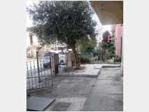5391838 in affitto casa
