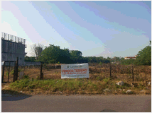 5391880 terreno edificabile mq6000