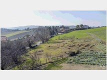 5393553 terreno edificabile mq1450