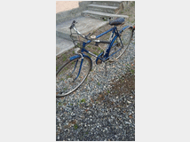 5393609 bianchi vintage, modello