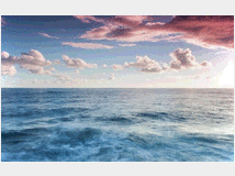 5394107 azienda operante nel