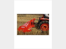 5395247 maschio barbi 120