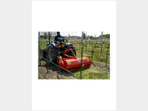 5395248 maschio barbi 120
