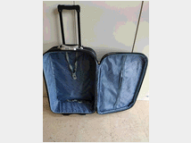 5396097 valigia trolley lumi