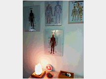 5396791 massaggi professionali wellness
