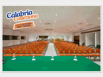 5397353 colleziona - 13