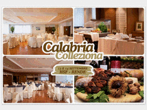 5397354 colleziona - 13